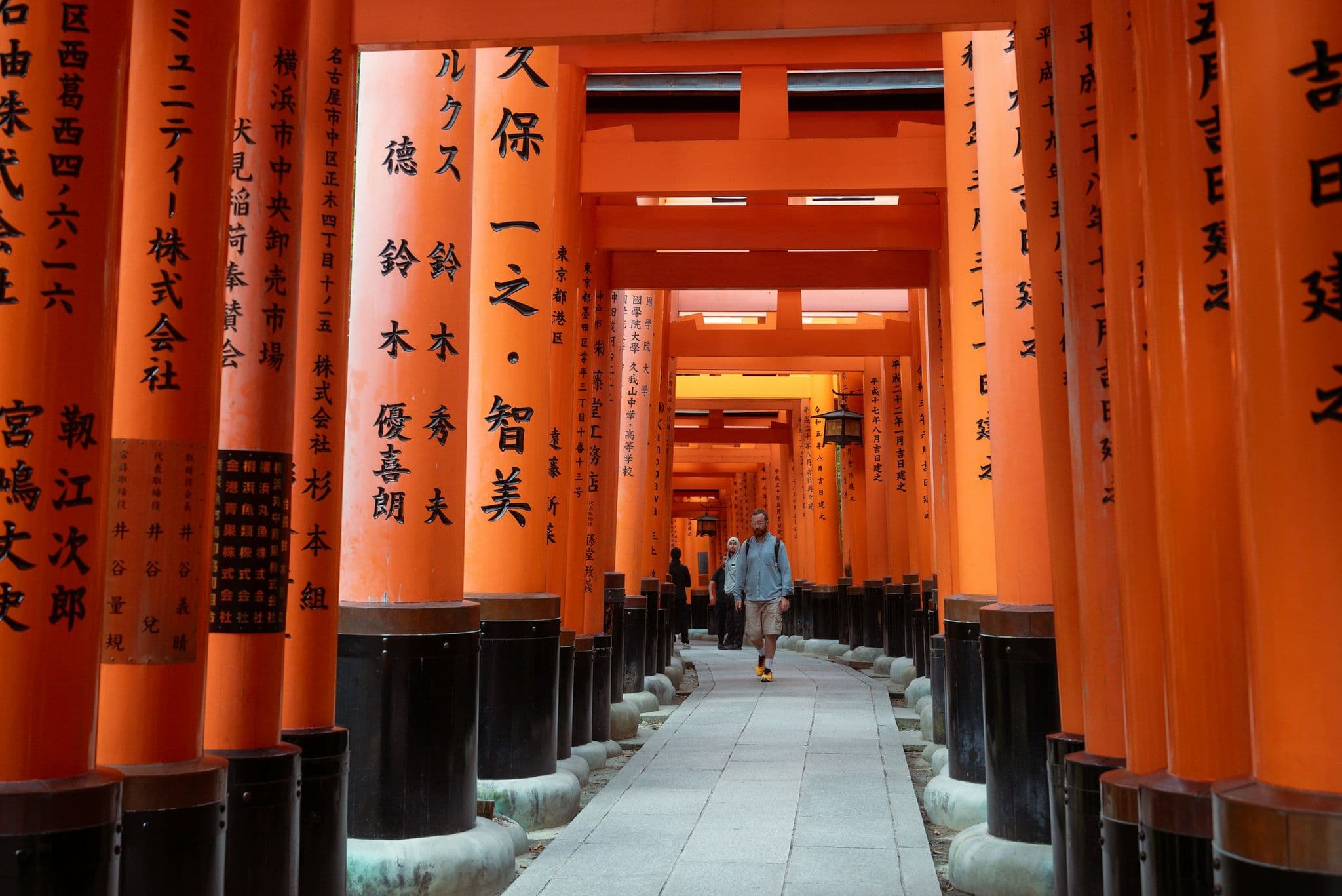 A traveler walks through the vermilion torii gates at Fushimi Inari Taisha in Kyoto